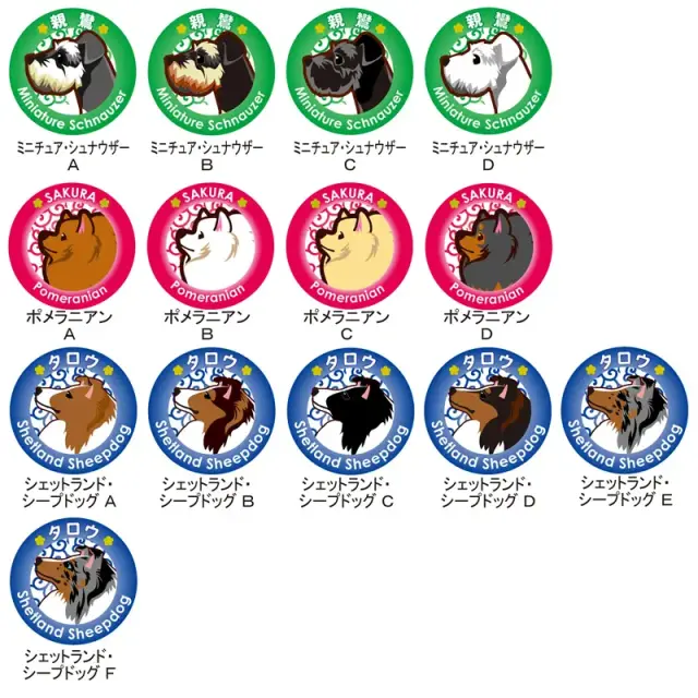 缶バッジ　イラスト　小型犬