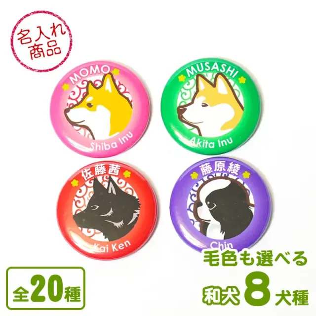 缶バッジ　和犬　イラスト