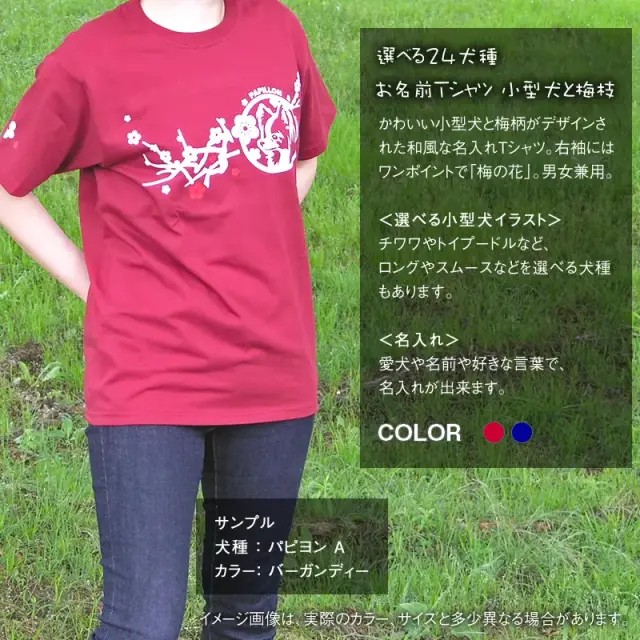 Ｔシャツ　梅枝　小型犬