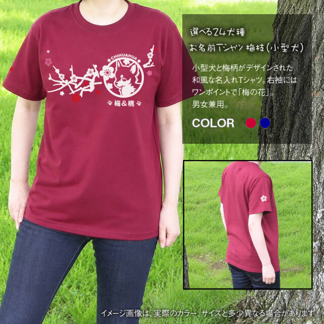 Ｔシャツ　梅枝　小型犬