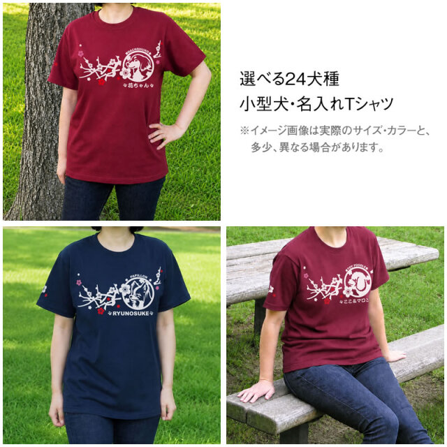 Ｔシャツ　梅枝　小型犬