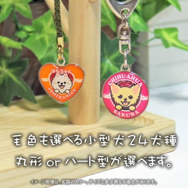 キーホルダー　小型犬
