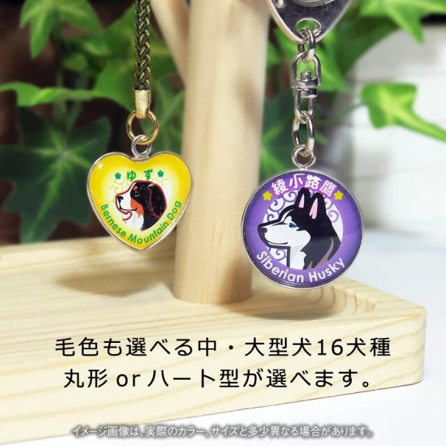 キーホルダー　中・大型犬イラスト