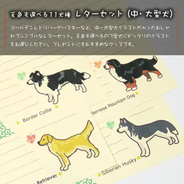 レターセット　中・大型犬