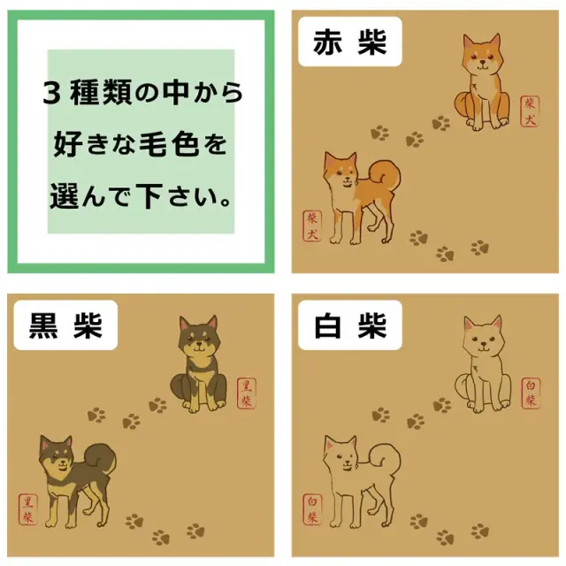 レターセット　柴犬ポーズ