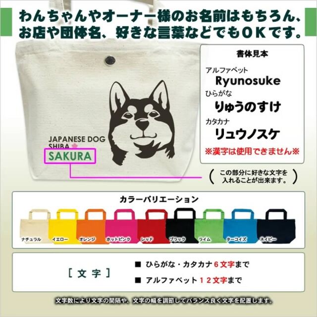 ミニバッグ　顔アップ