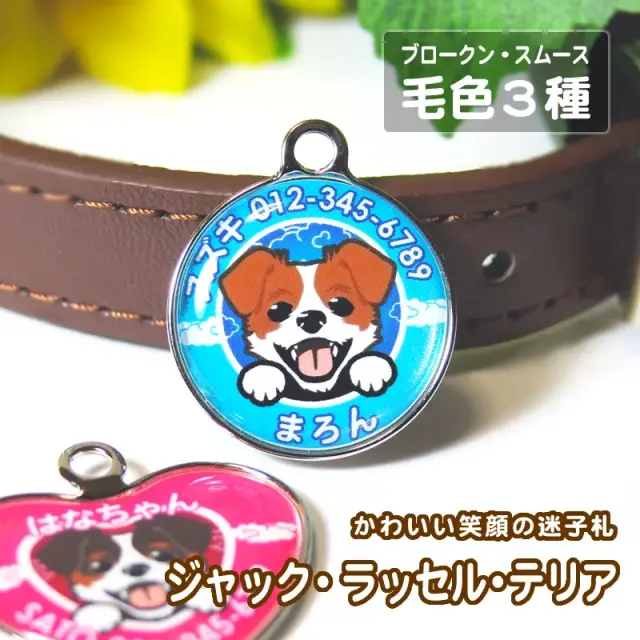 迷子札　ジャックラッセルテリア