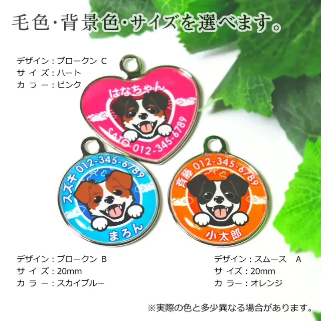 迷子札　ジャックラッセルテリア