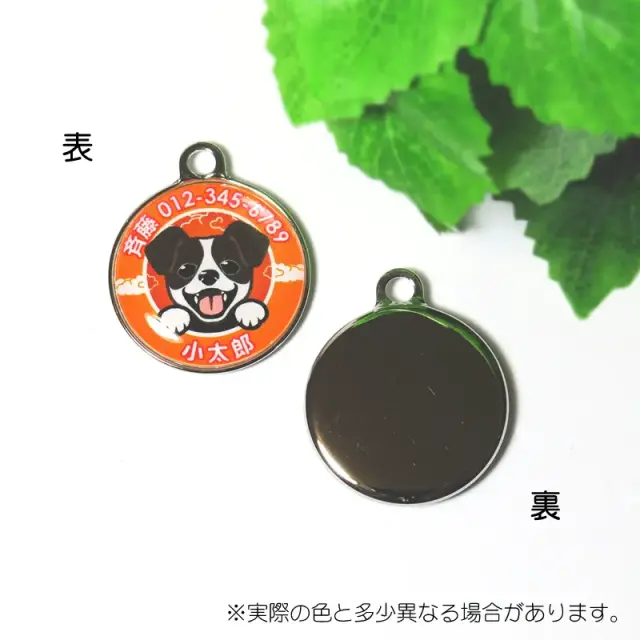 迷子札　ジャックラッセルテリア
