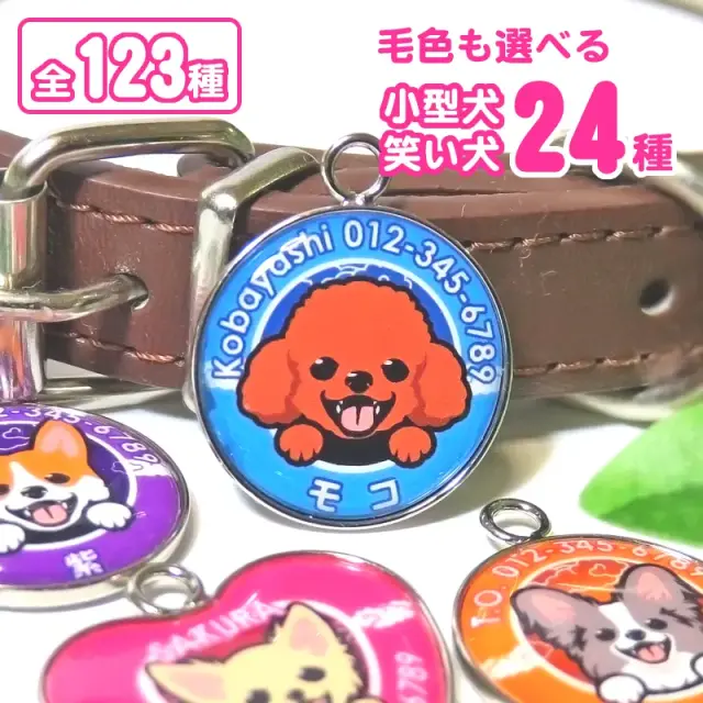 迷子札　笑い犬　小型犬
