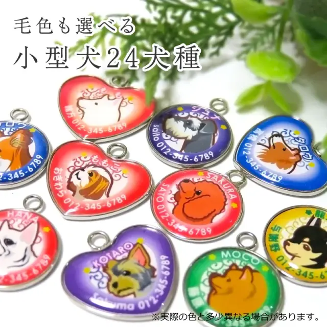 迷子札　小型犬イラスト