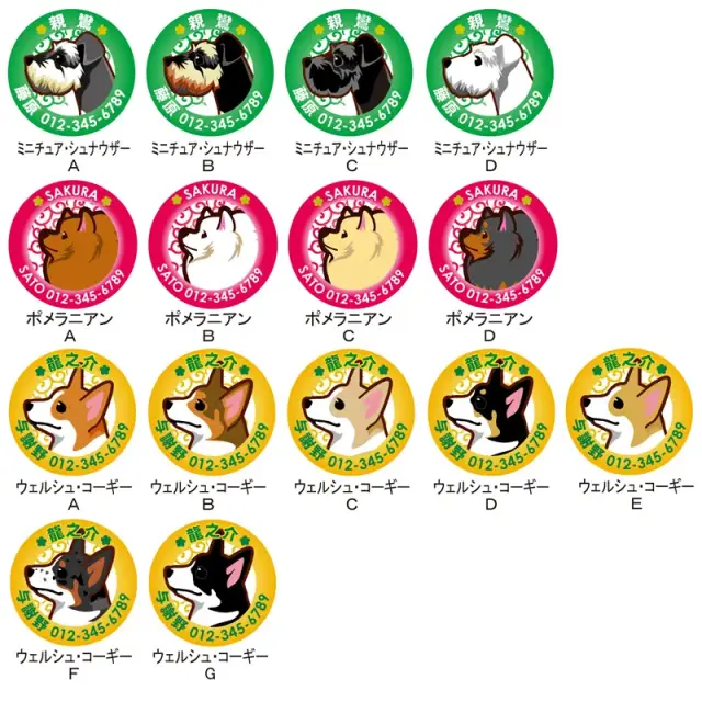 迷子札　小型犬イラスト