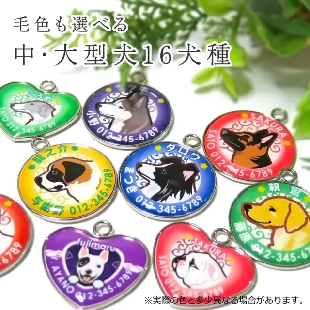 迷子札　中・大型犬イラスト