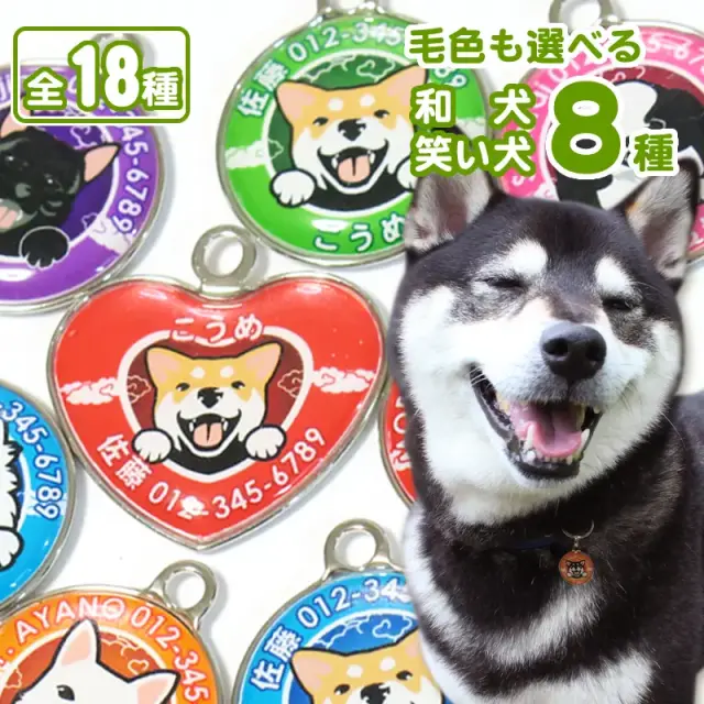 迷子札　和犬　笑い犬