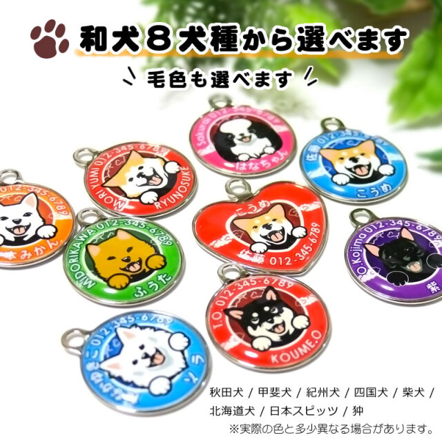 迷子札　笑い犬　和犬