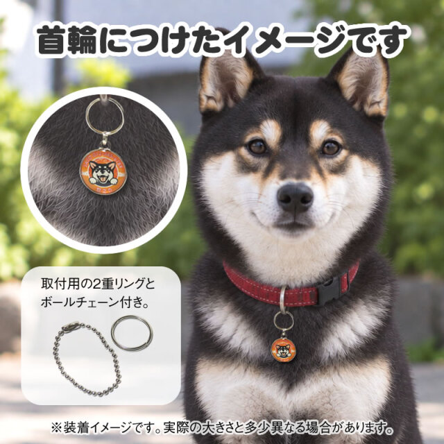迷子札　笑い犬　和犬
