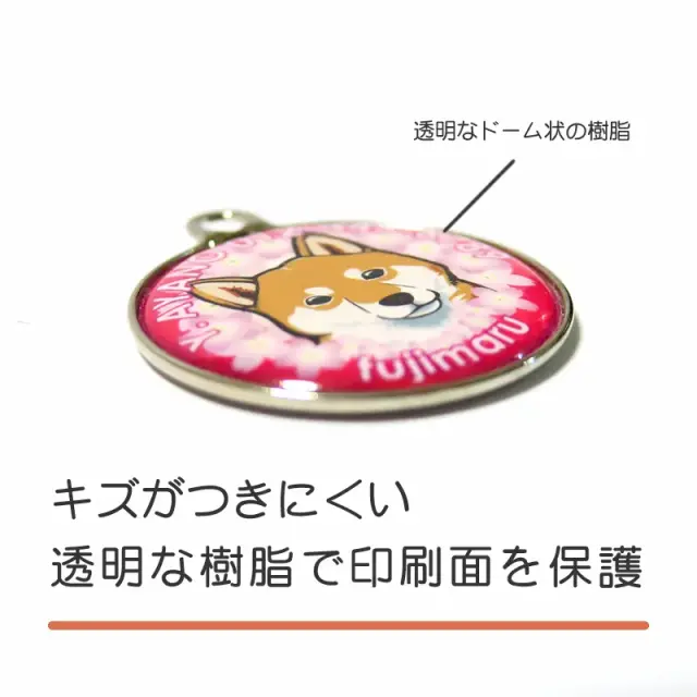 迷子札　花丸　桜