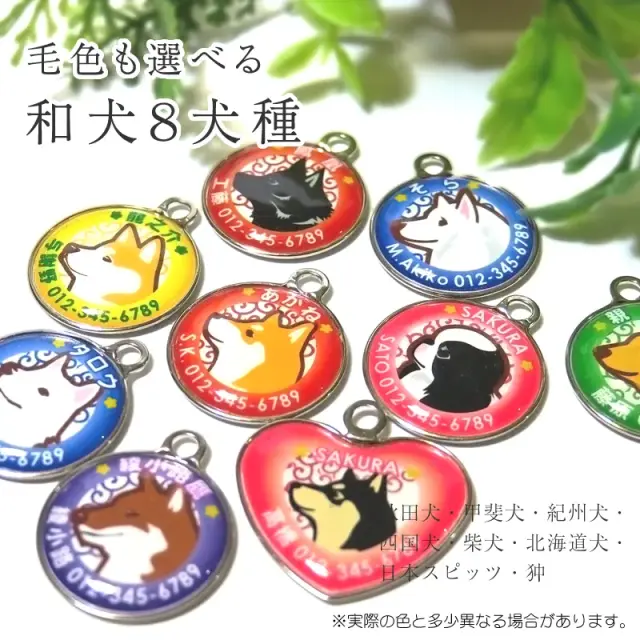 迷子札　和犬イラスト