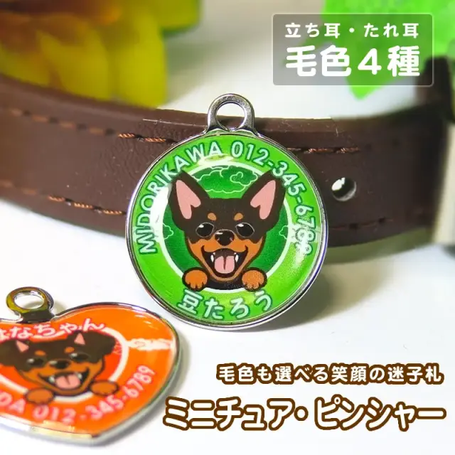 迷子札　ミニチュア・ピンシャー