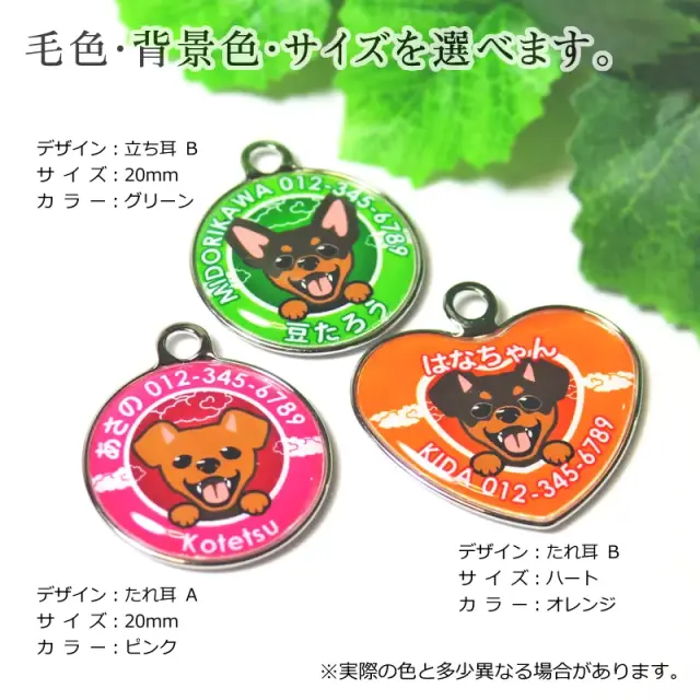 迷子札　ミニチュア・ピンシャー