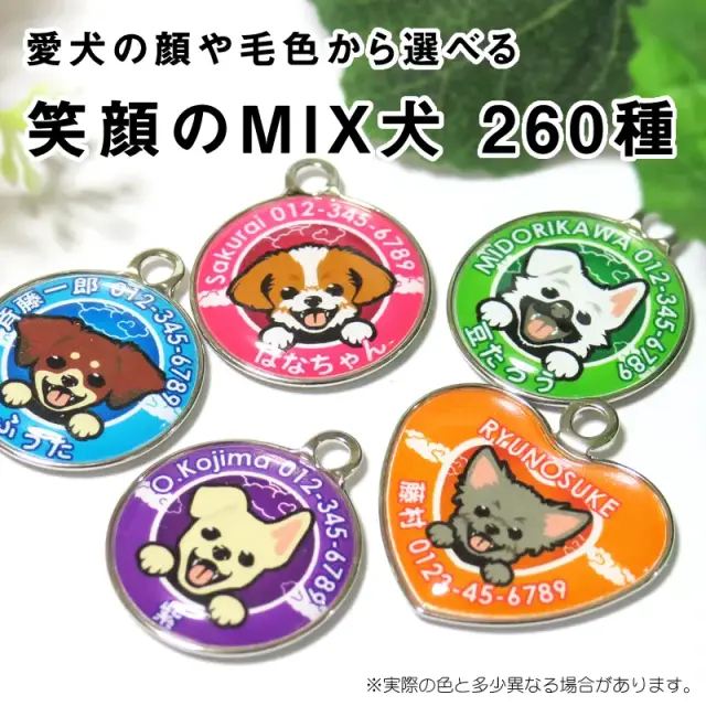 迷子札　笑い犬　ＭＩＸ犬