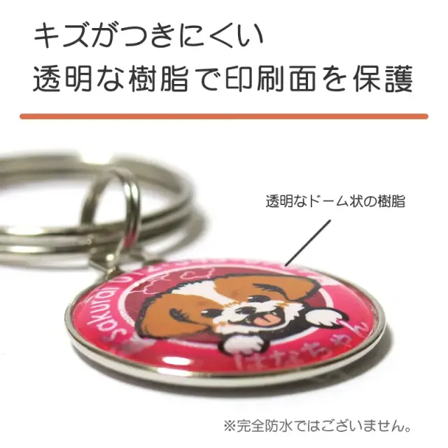 迷子札　笑い犬　ＭＩＸ犬