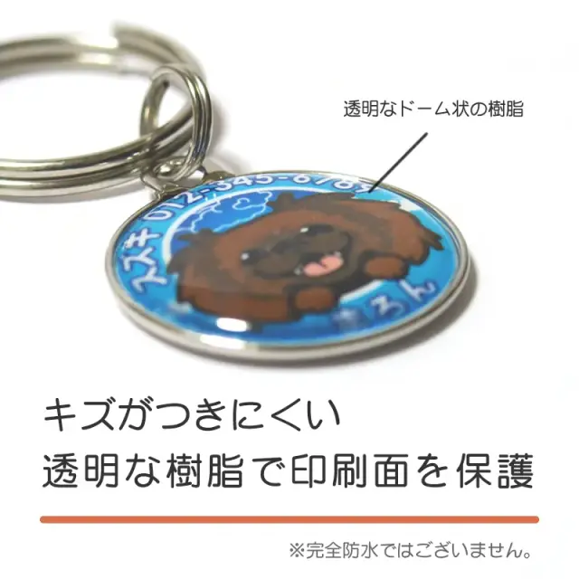 迷子札　笑い犬　ペキニーズ