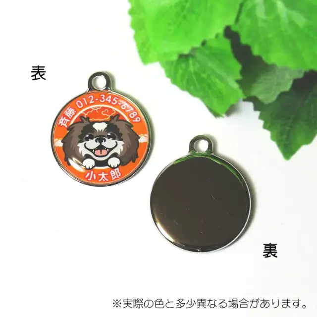 迷子札　笑い犬　ペキニーズ