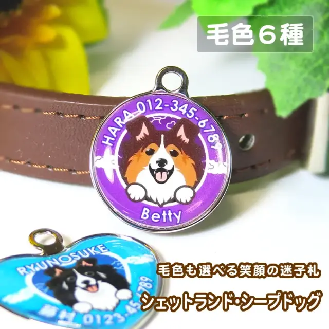 迷子札　シェットランド・シープドッグ