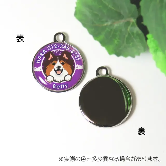 迷子札　シェットランド・シープドッグ