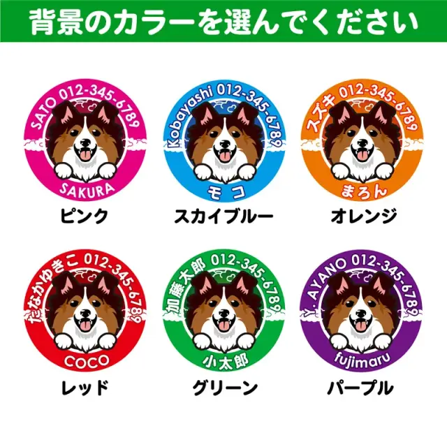迷子札　シェットランド・シープドッグ