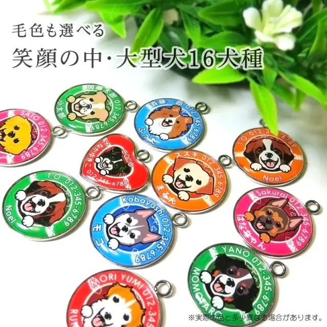 迷子札　笑い犬　中・大型犬