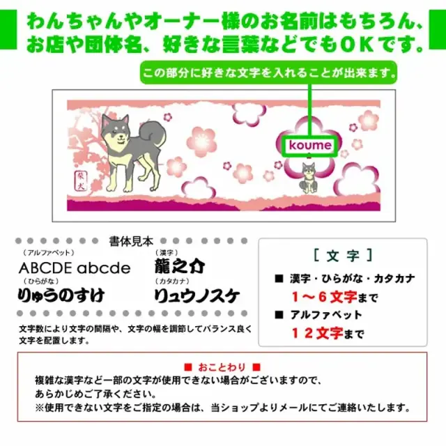 マグカップ　ポーズ　柴犬