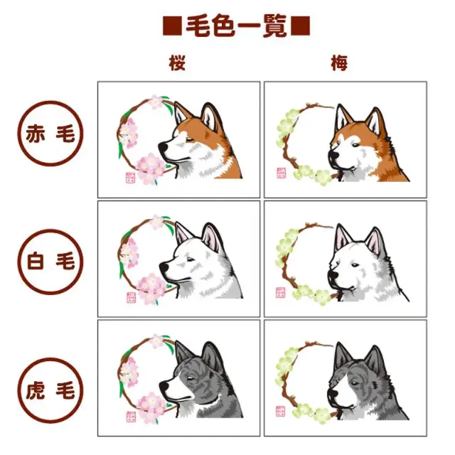 マグカップ　花丸　秋田犬