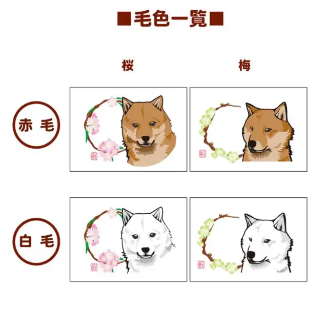 マグカップ　花丸　北海道犬