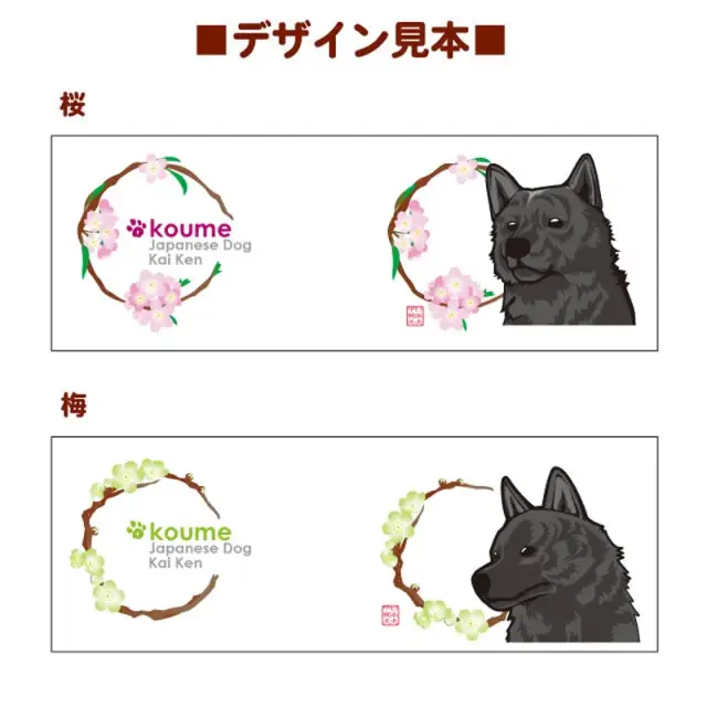 マグカップ　花丸　甲斐犬
