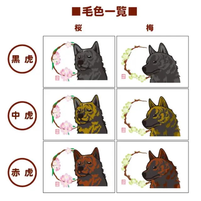 マグカップ　花丸　甲斐犬