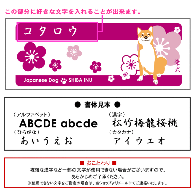 マグカップ　柴犬と梅