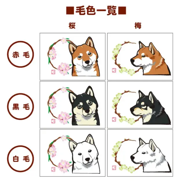 マグカップ　花丸　柴犬