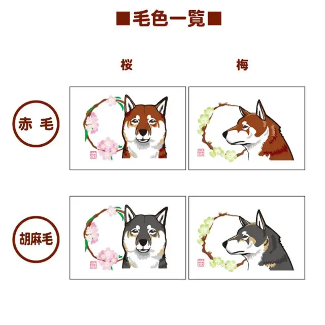 マグカップ　花丸　四国犬