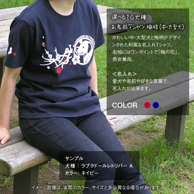 Ｔシャツ　梅枝　中・大型犬