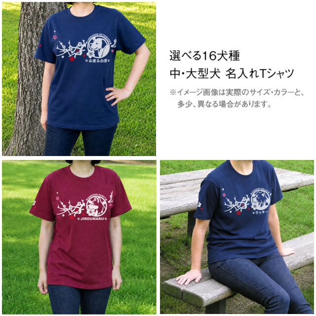 Ｔシャツ　梅枝　中・大型犬