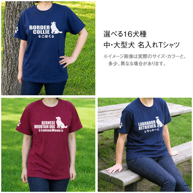 Ｔシャツ　おすわりシルエット　中・大型犬