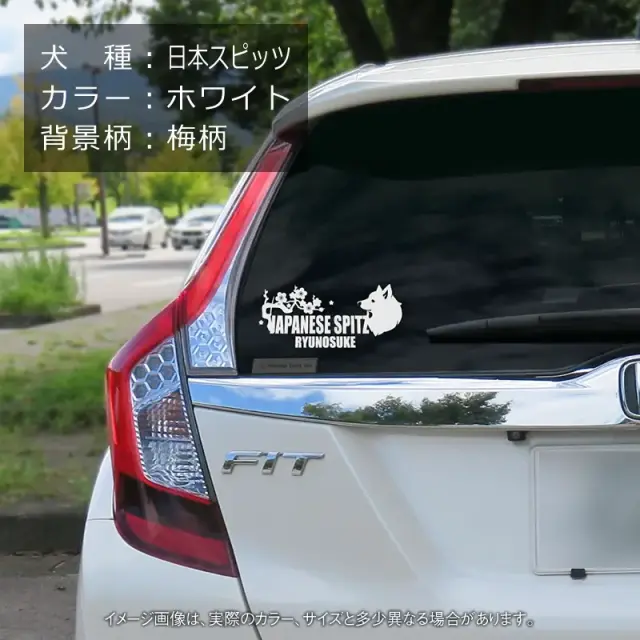 ステッカー　梅　波　日本スピッツ