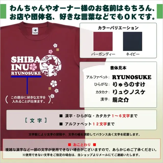 Ｔシャツ　撫子