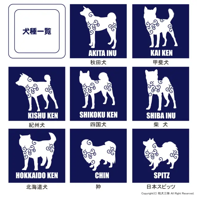 Ｔシャツ　唐草