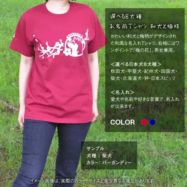 Ｔシャツ　梅枝　和犬