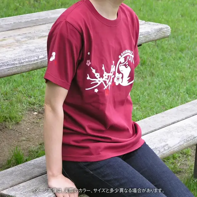 Ｔシャツ　梅枝　和犬