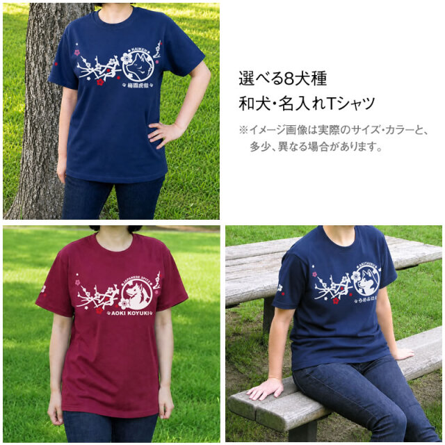 Ｔシャツ　梅枝　和犬