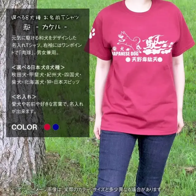 Ｔシャツ　カケル